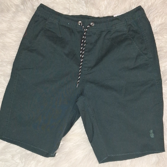 Men's Green Swim Shorts - Picture 1 of 3